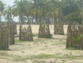GREEN BELT-BATI (11).JPG