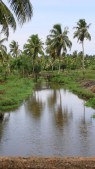 Tudawa canal.jpg