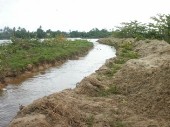 P5110004.JPG