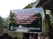 DSC03415.jpg