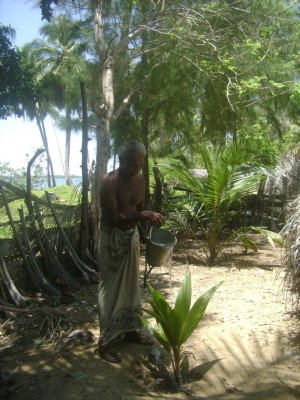 GREEN BELT-BATI (2).JPG