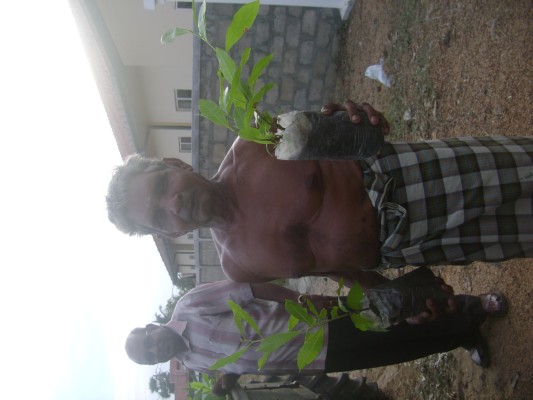 GREEN BELT-BATI (3).JPG