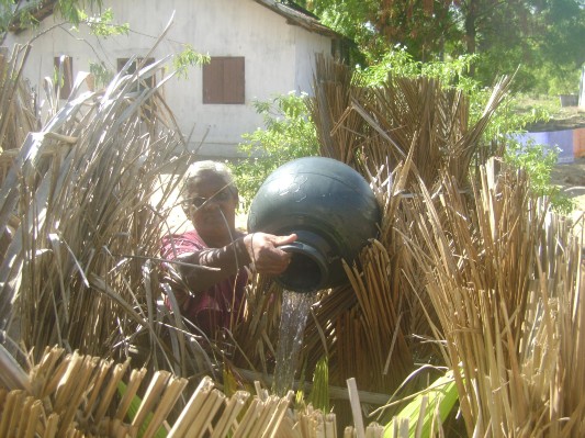 GREEN BELT-BATI (8).JPG