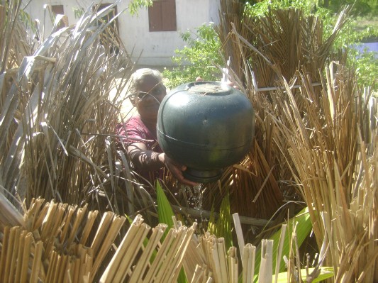 GREEN BELT-BATI (9).JPG