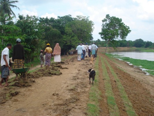 Rehabilitation of Padipanchawa Wewa.JPG