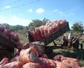 plastic waste collected.jpg